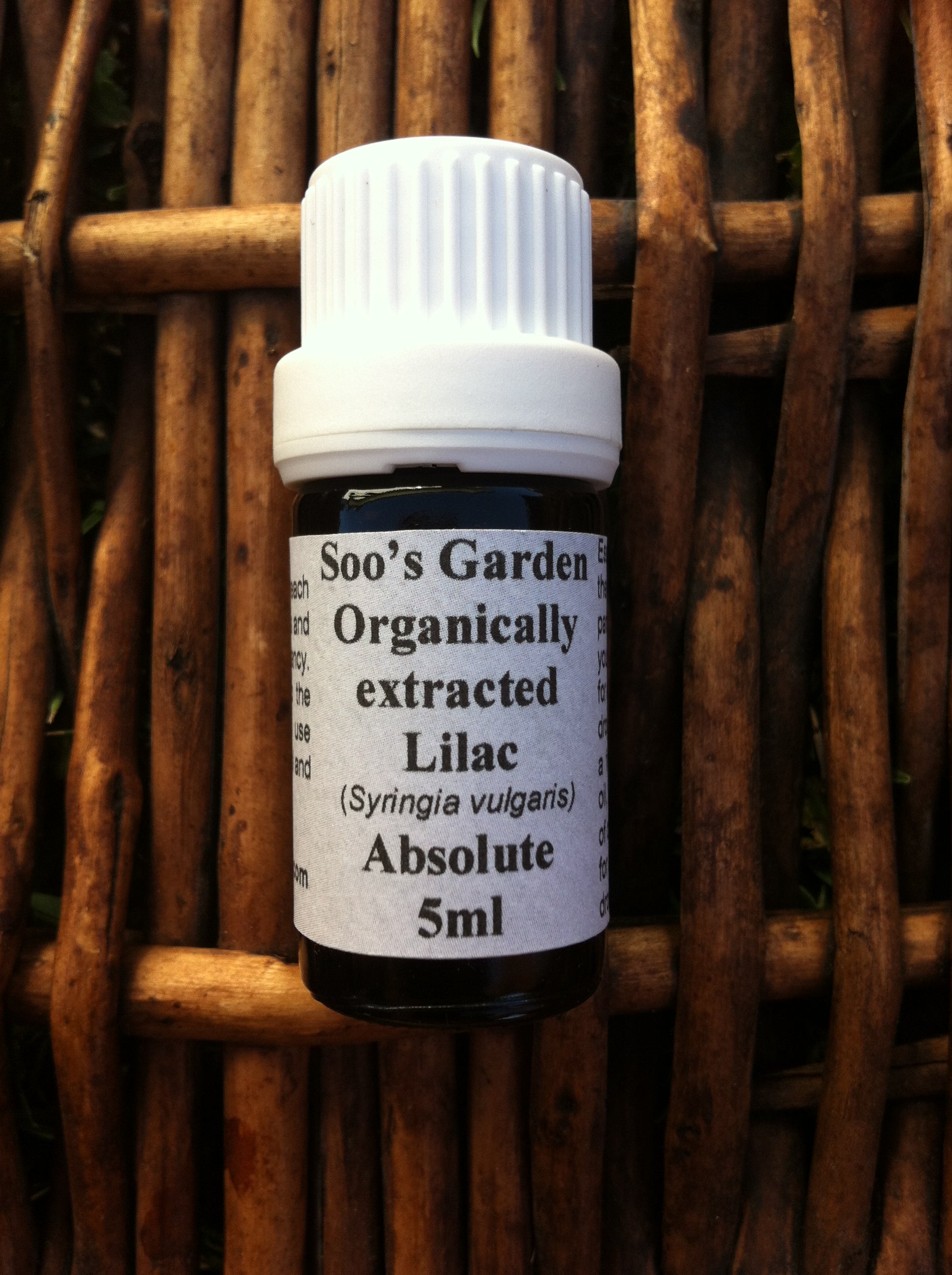 Lilac Absolute Organic - Syringia vulgaris Essential Oil